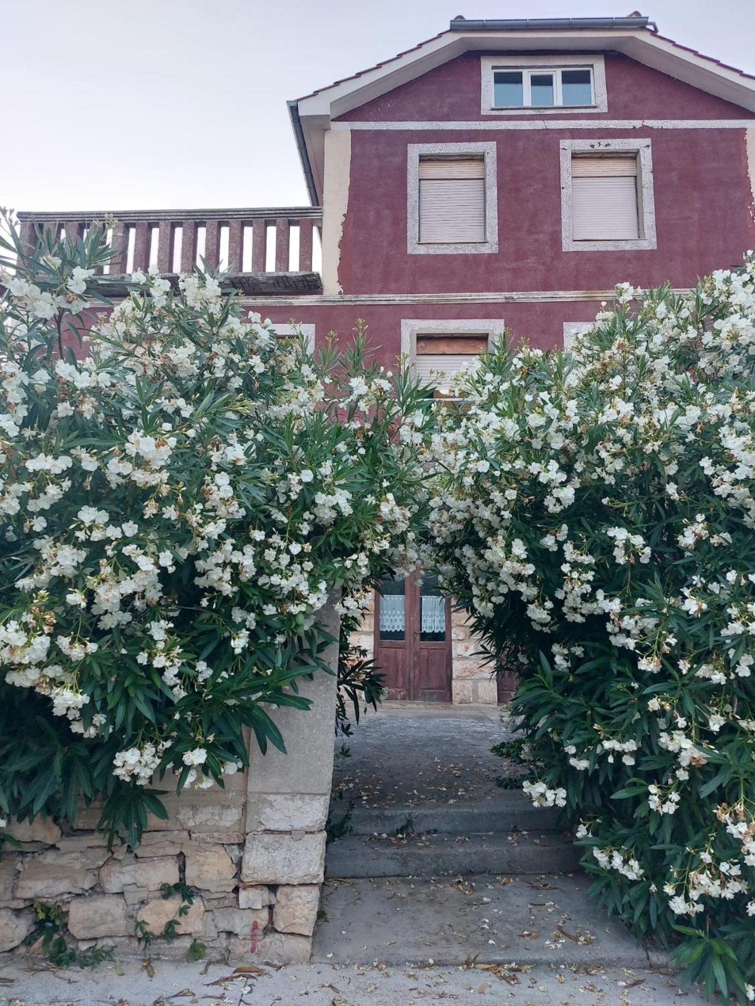 Apartment Bozava - Nena Eksteriør billede